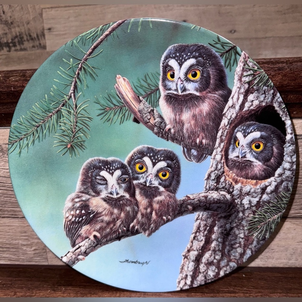 Vintage Knowles "Beginning to Explore: Boreal Owls" by Joe Thornbrugh 8,…